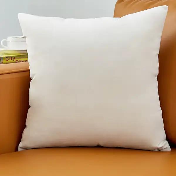 Housse de coussin en velours, oreillers décoratifs pour canapé, salon, décorations pour la maison, v