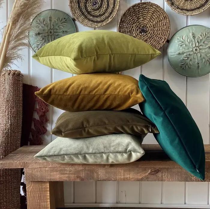 Housse de coussin en velours