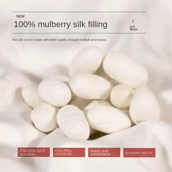 InjComforters Mulberry Coton Jacquard, Jacquard InjFilling, Couettes de printemps et d'été, Couettes douces et chaudes, Simple, Double Queen, 202 lon, 100%