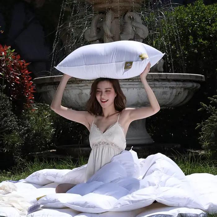 Noyau d'oreiller en duvet d'oie blanc pur