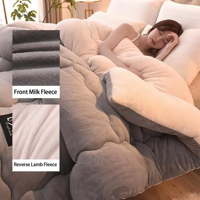 Couette d'hiver réversible en polaire Sherpa de style contemporain, literie chaude en peluche douce et respirante, remplissage et housse 100 % polyester