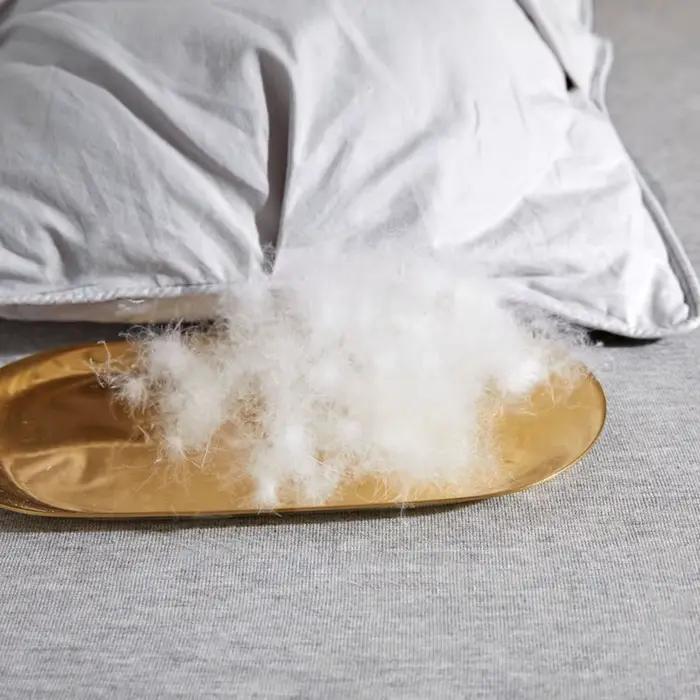 Couette de luxe 100% duvet de canard blanc