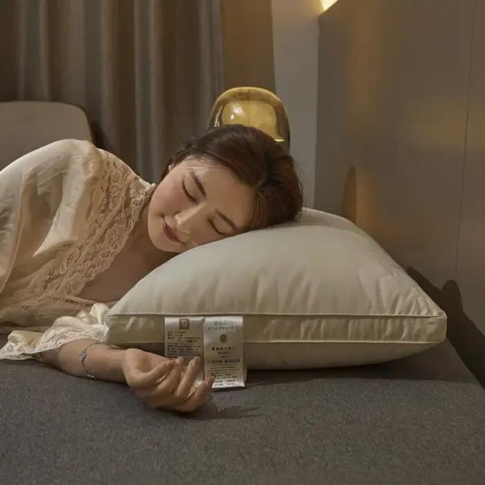 Oreiller en soie de mûrier 7A antibactérien, oreiller de luxe confortable avec enveloppe en coton, oreillers de lit d'hôtel